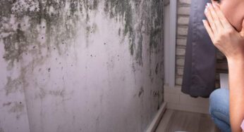 Un antico rimedio per un problema moderno: l’alleato invisibile contro la muffa